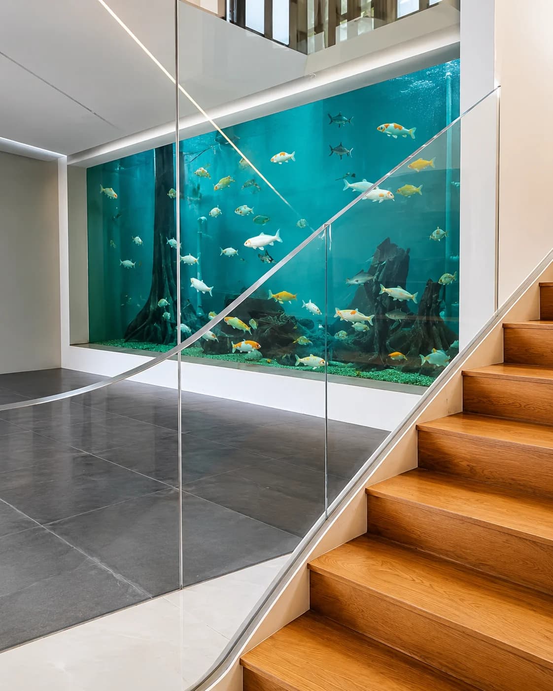 Jervois Hill indoor acrylic aquarium panel