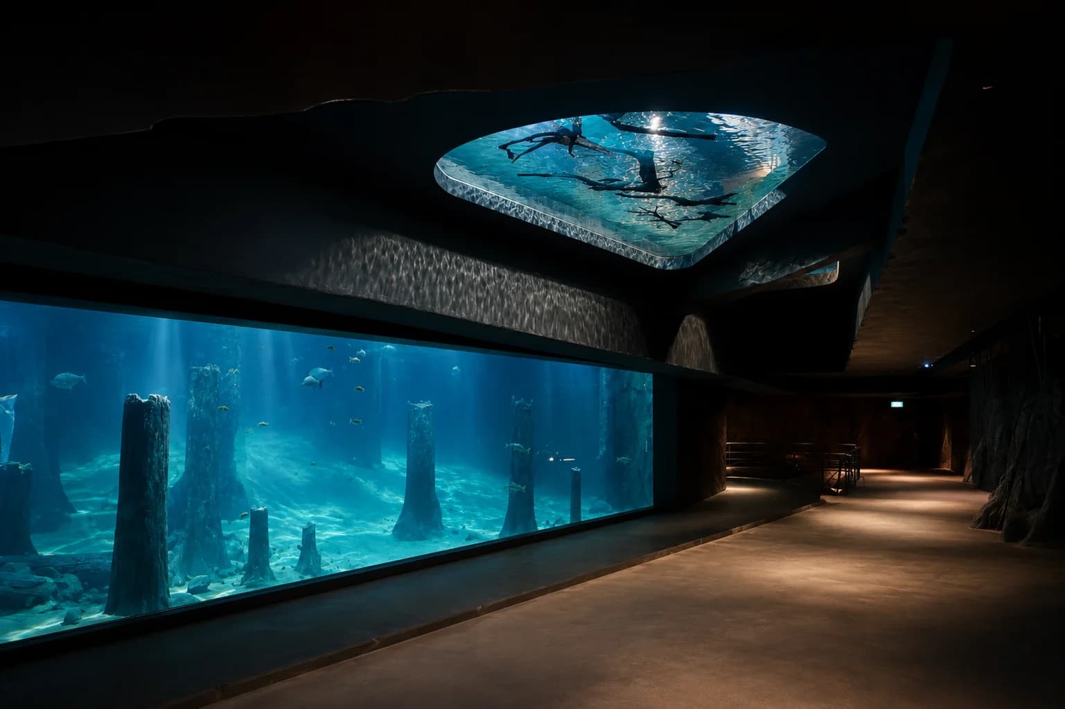 River Safari acrylic aquarium panel