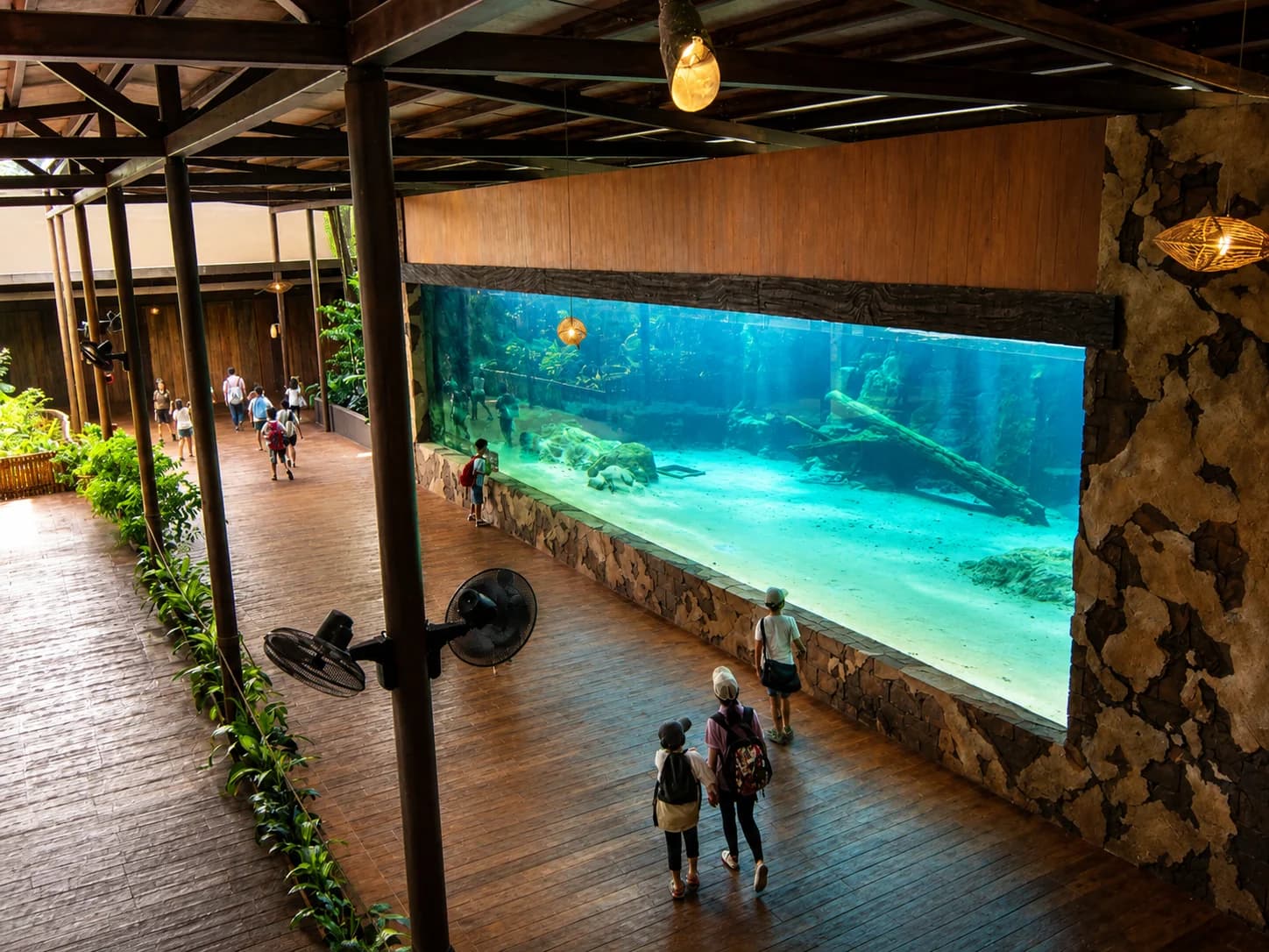 River Safari acrylic aquarium panel